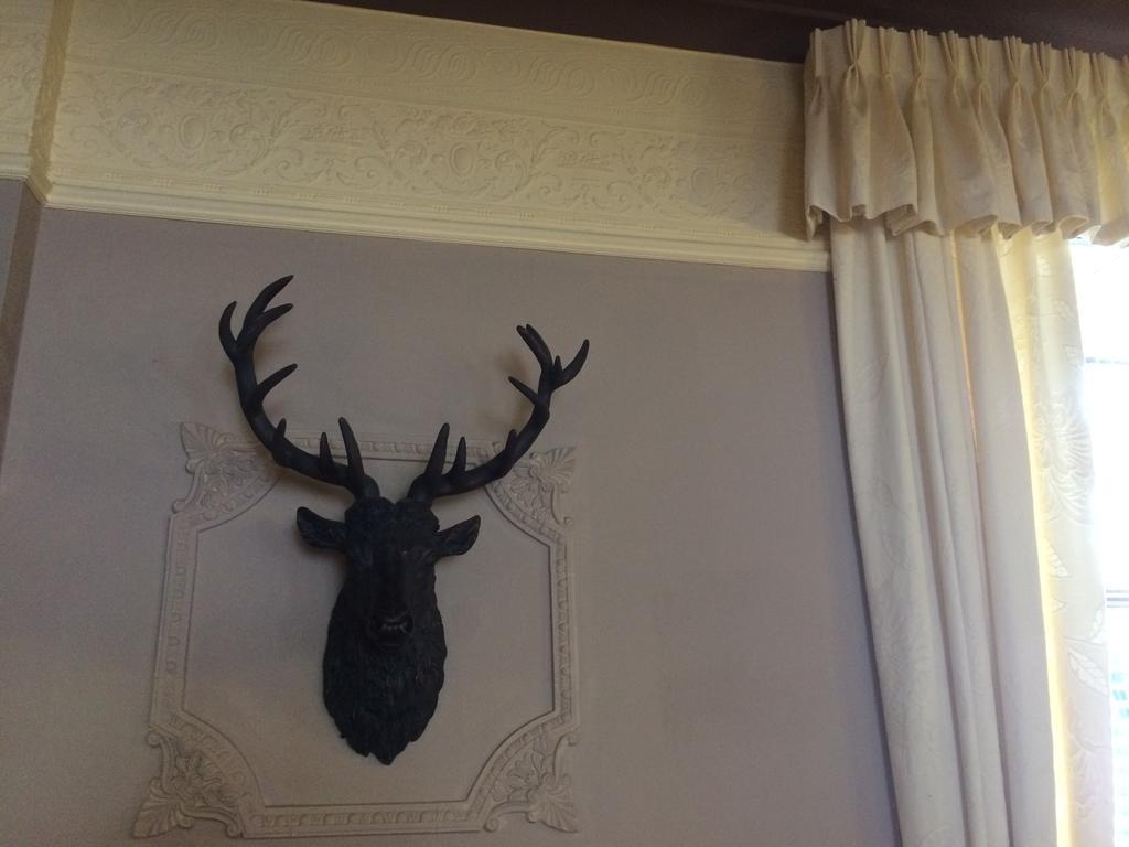 האוויק Elm Guest House מראה חיצוני תמונה