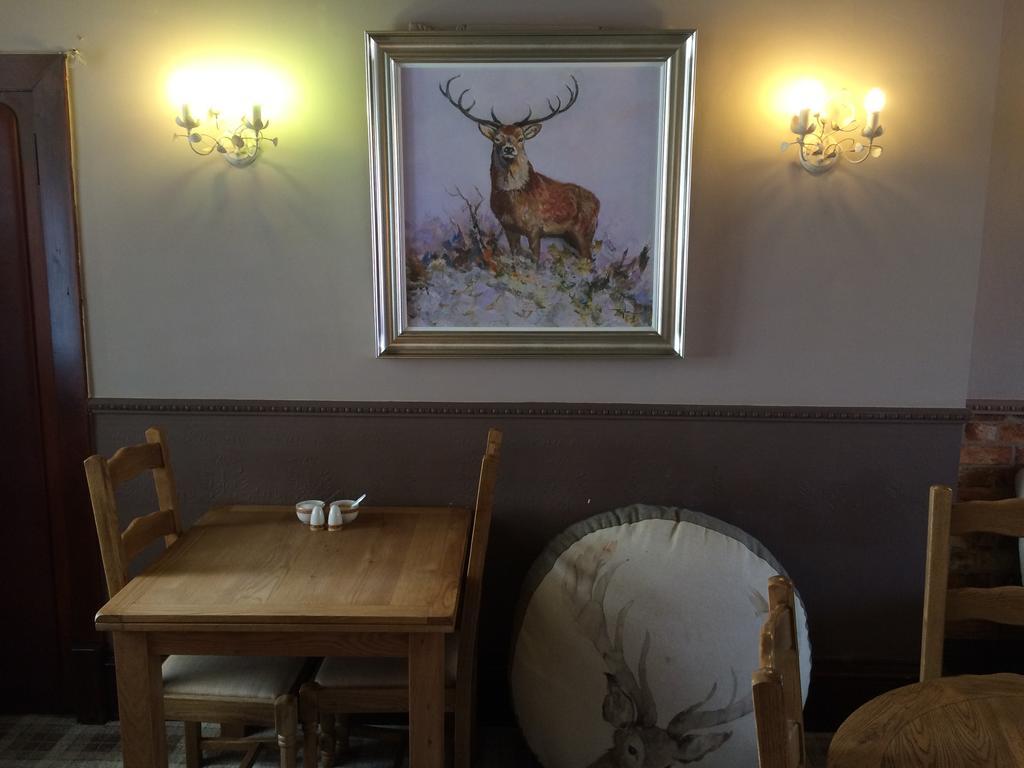 האוויק Elm Guest House מראה חיצוני תמונה
